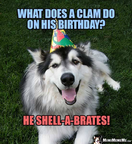 Happy-Birthday-Dog-Meme