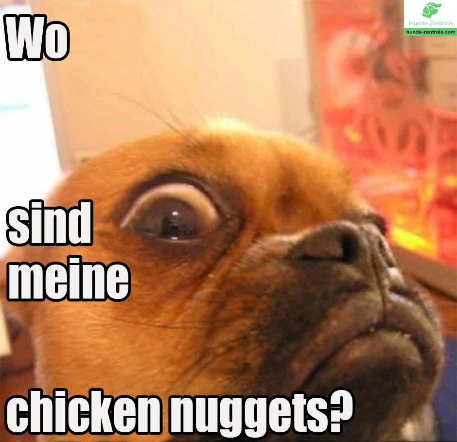 Boxer-Meme-Wo-sind-meine-chicken-nuggets
