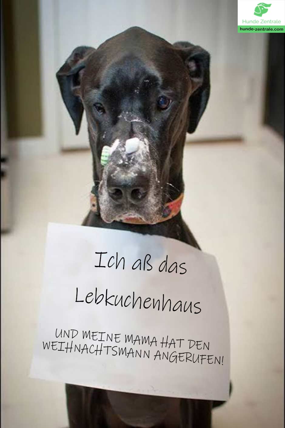 Deutsche-Dogge-Meme-Ich-aß-das-lebkuchenhaus