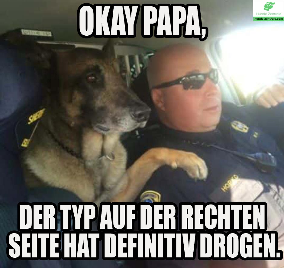 Diensthund-meme-okay-papa-der-typ-auf-der-rechten-seite