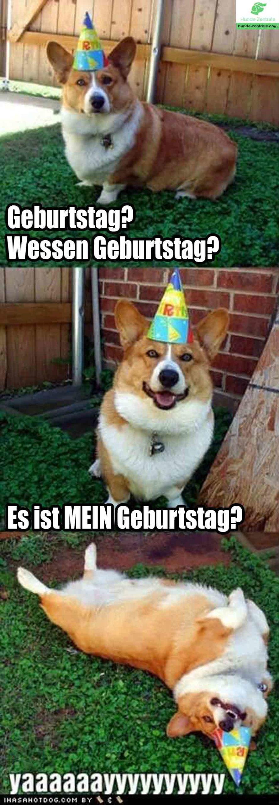 Happy-Birthday-Hundememe-Geburtstag