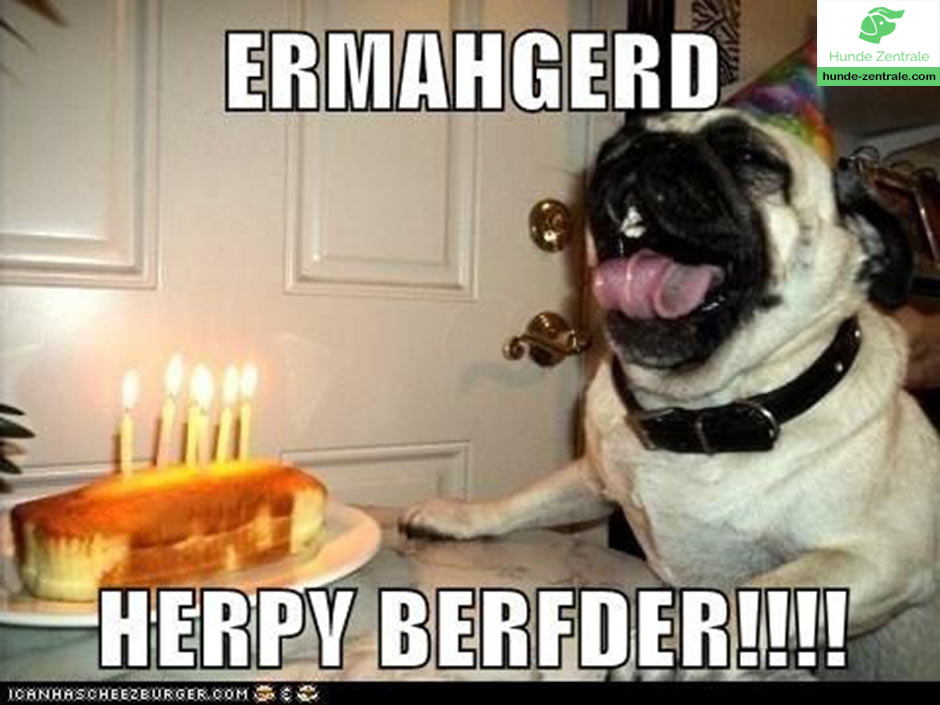 Happy-Birthday-Hundememe-Ermahgerd-herpy-berfder