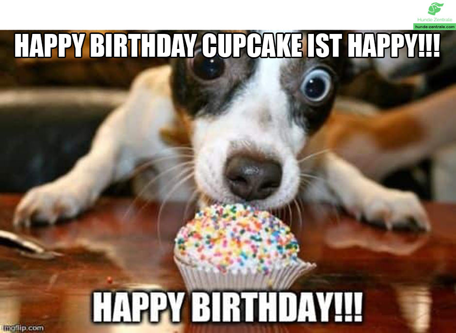 Happy-Birthday-Hundememe-caupcake-ist-happy