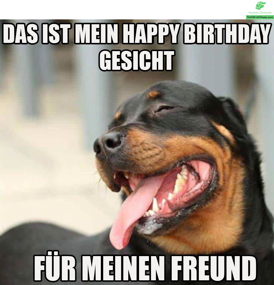 Happy-Birthday-Hundememe-das-ist-mein-happ-birthday-gesicht