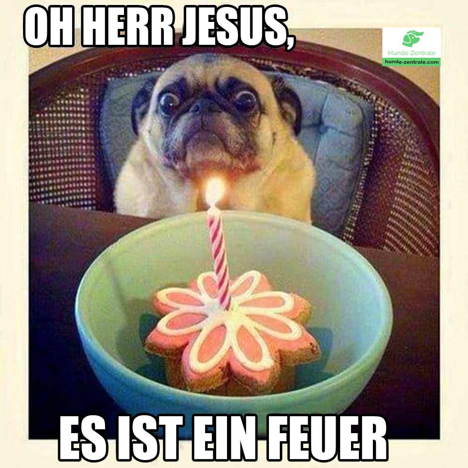 Happy-Birthday-Hundememe-oh-herr-jesus-es-ist-ein-feuer