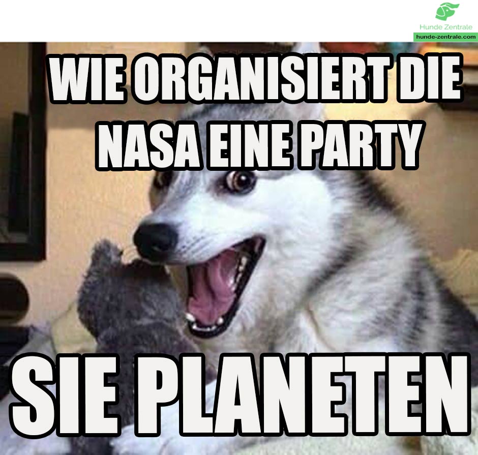 Laechelnder-Hund-Meme-wie-organisiert-die-nasa-eine-party