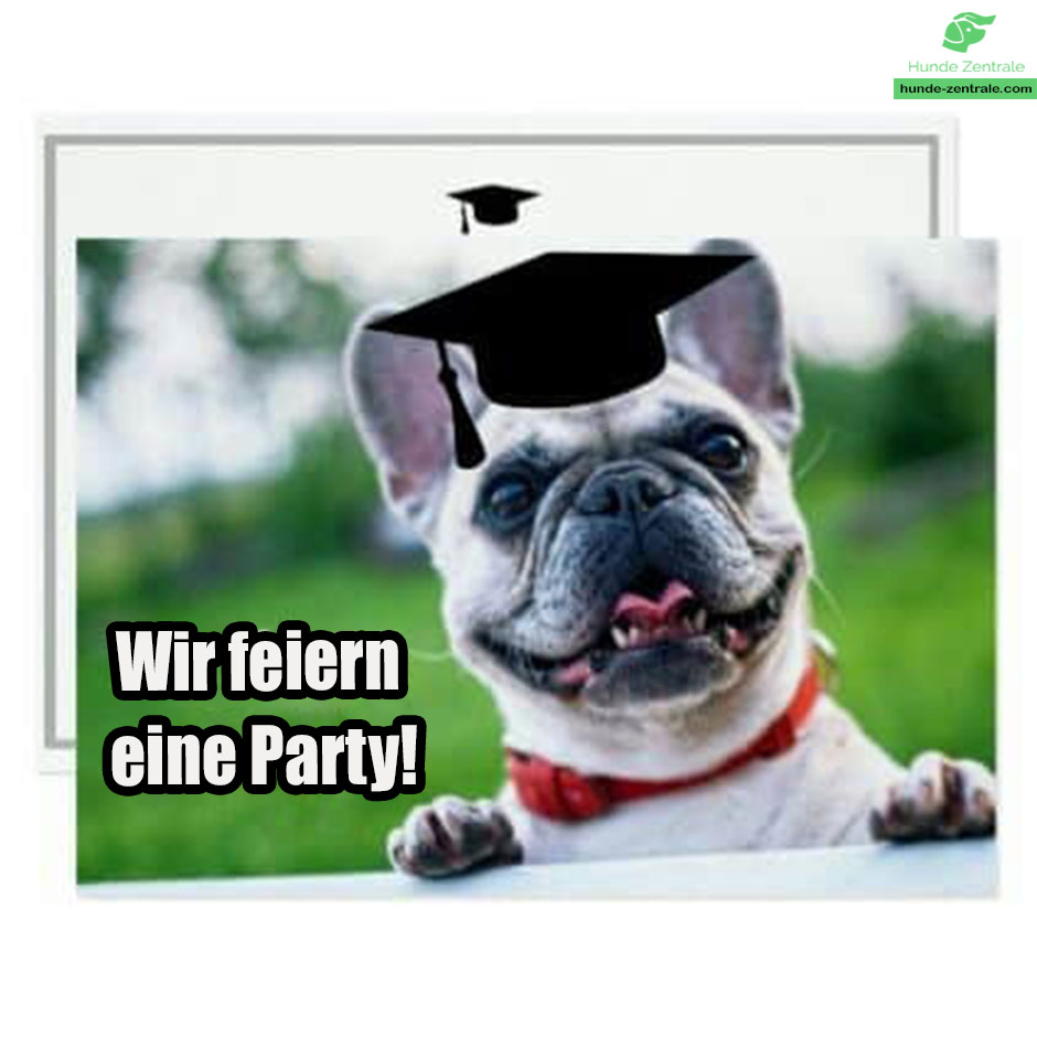 Laechelnder-Hund-Meme-wir-feiern-eine-party