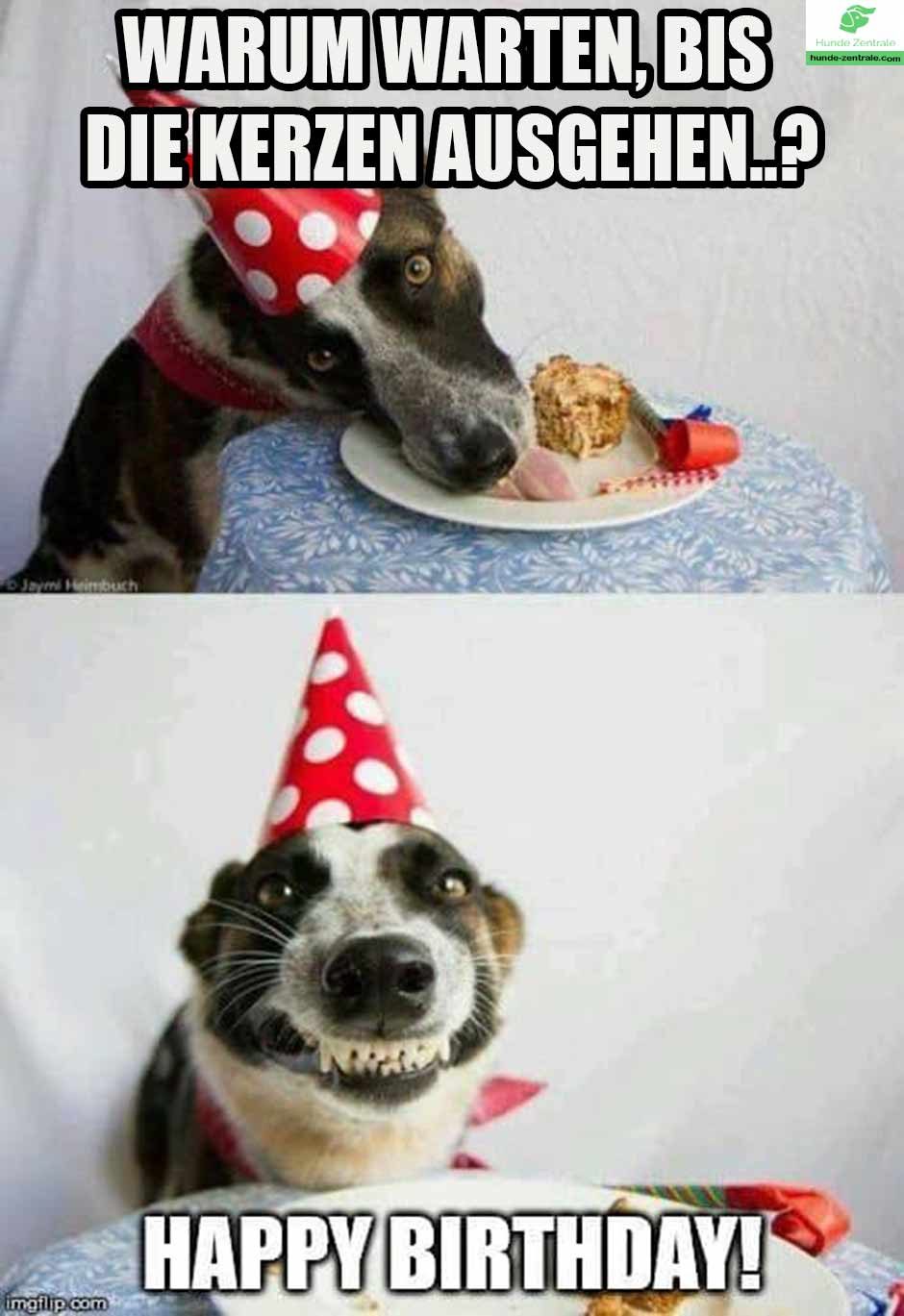 Happy-Birthday-Hundememe-warum-warten-bis-die-kerzen-ausgehen